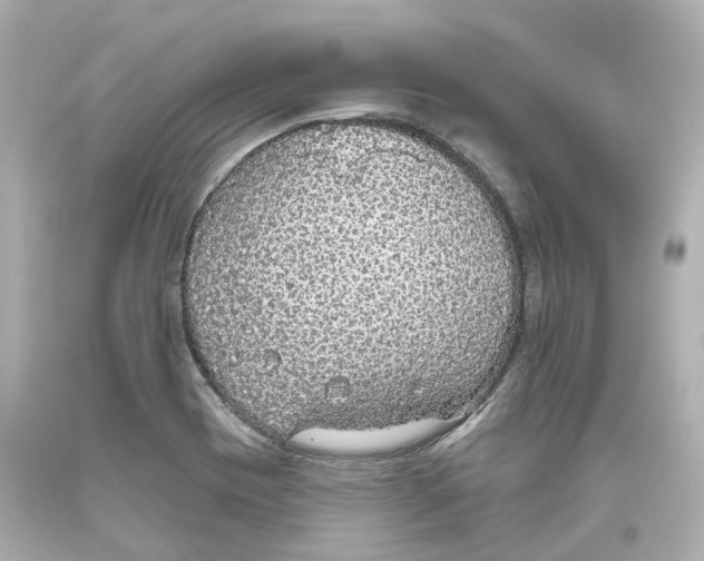 X0000093621417200711051230
