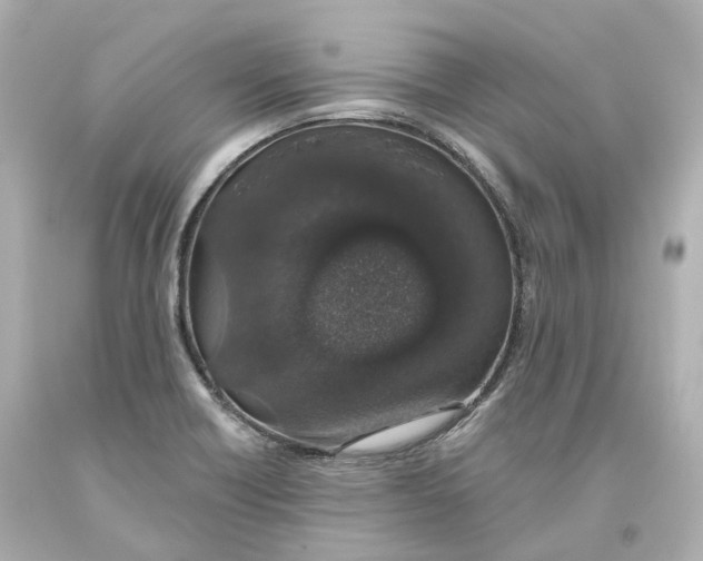 X0000093621418200711051230