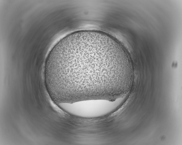 X0000093621421200711051230