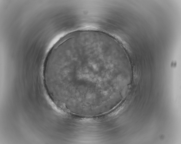 X0000093621422200711051230