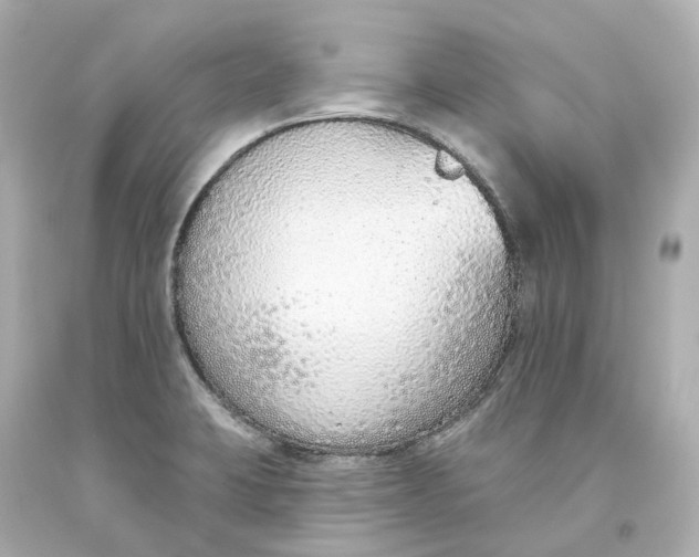 X0000093621423200711051230