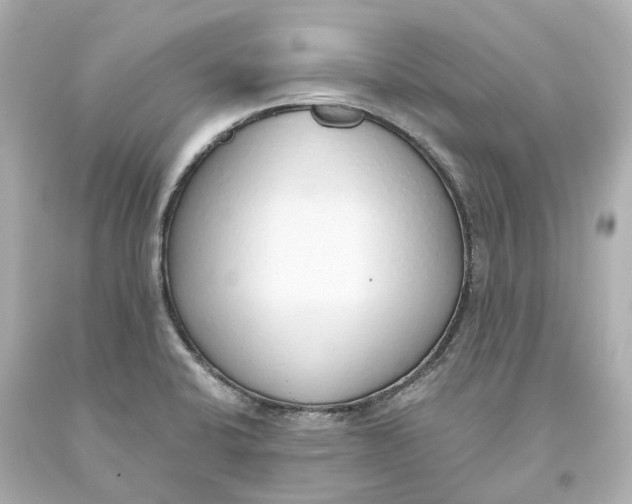 X0000093621424200711051230