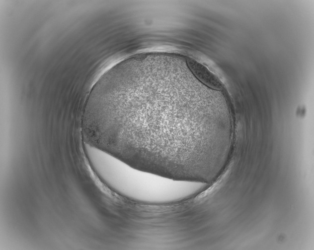 X0000093621425200711051230