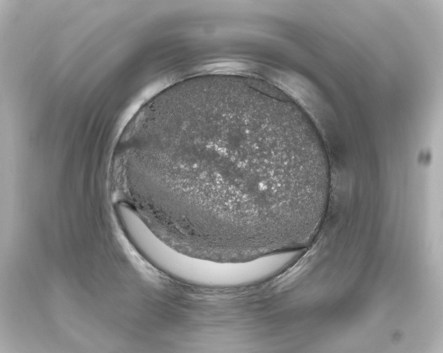 X0000093621426200711051230