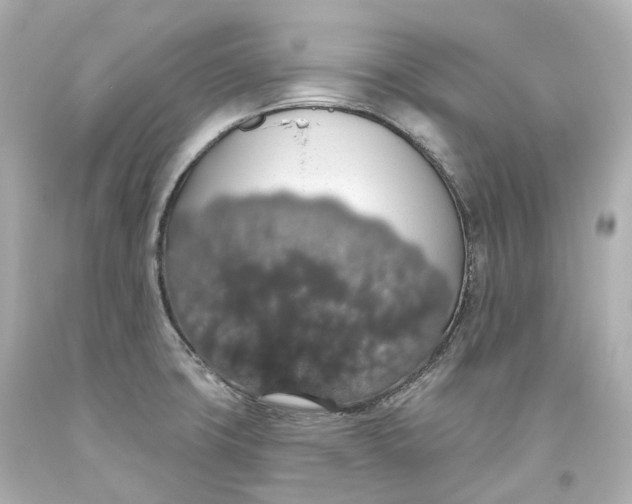 X0000093621427200711051230