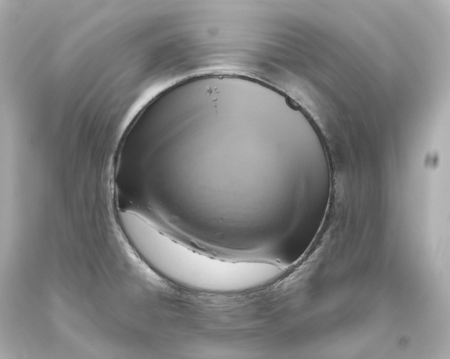 X0000093621428200711051230