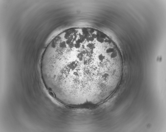 X0000093621429200711051230
