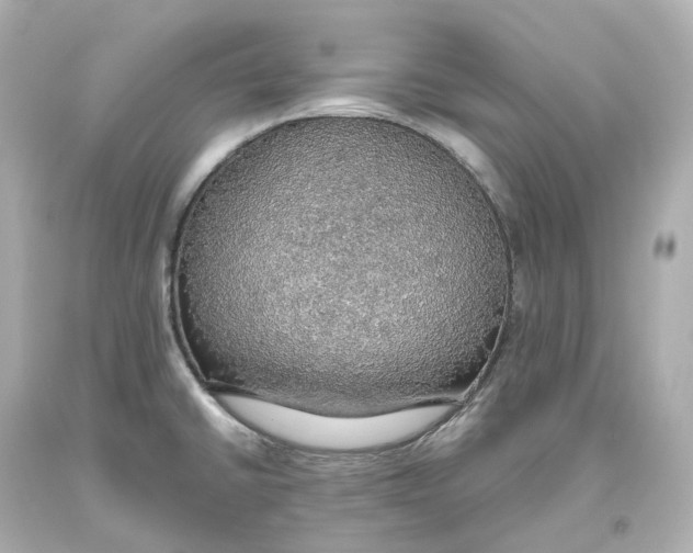 X0000093621430200711051230