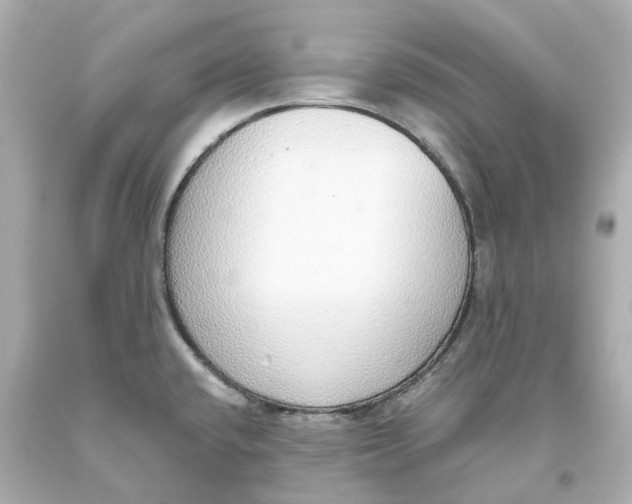 X0000093621432200711051230