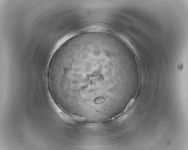 X0000093621434200711051230