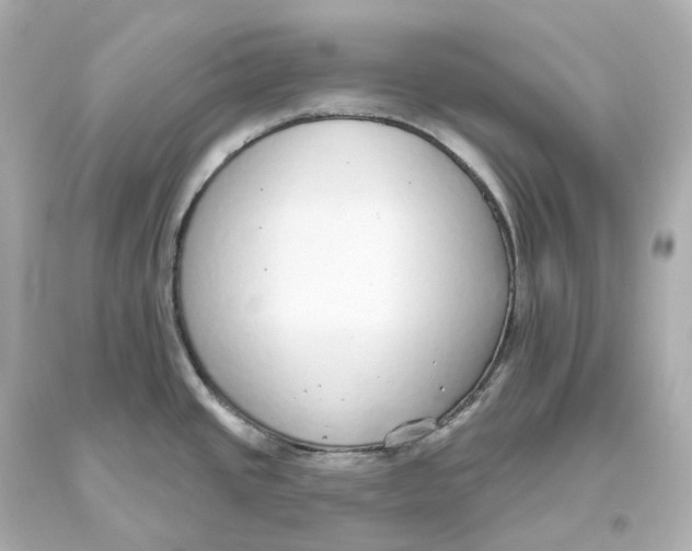 X0000093621437200711051230