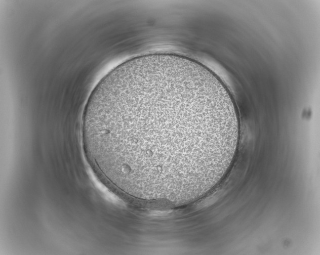 X0000093621439200711051230
