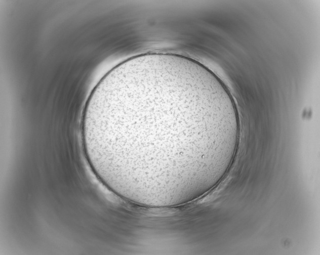 X0000093621440200711051230