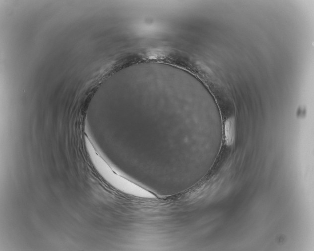 X0000093621443200711051230