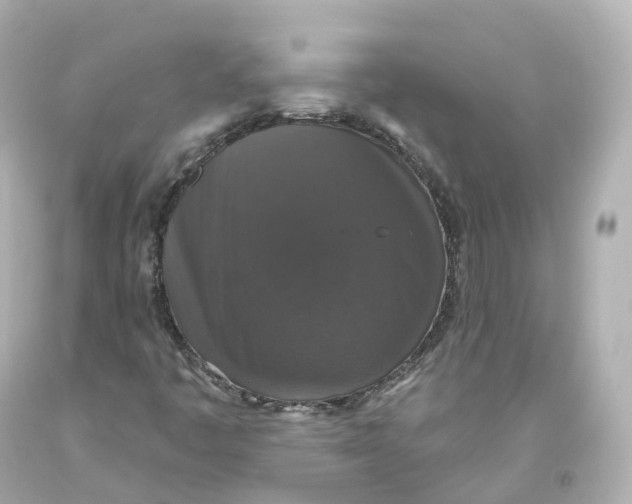 X0000093621445200711051230