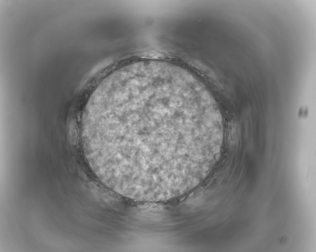 X0000093621446200711051230