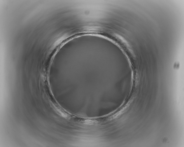 X0000093621449200711051230