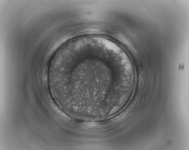 X0000093621450200711051230