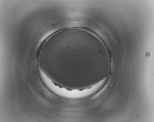 X0000093621453200711051229