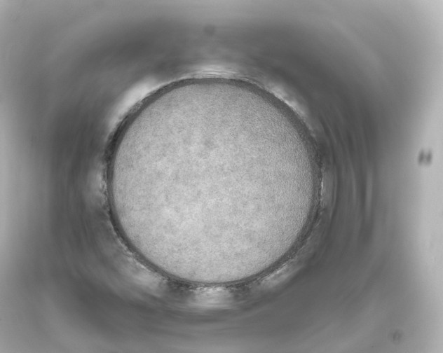 X0000093621454200711051229