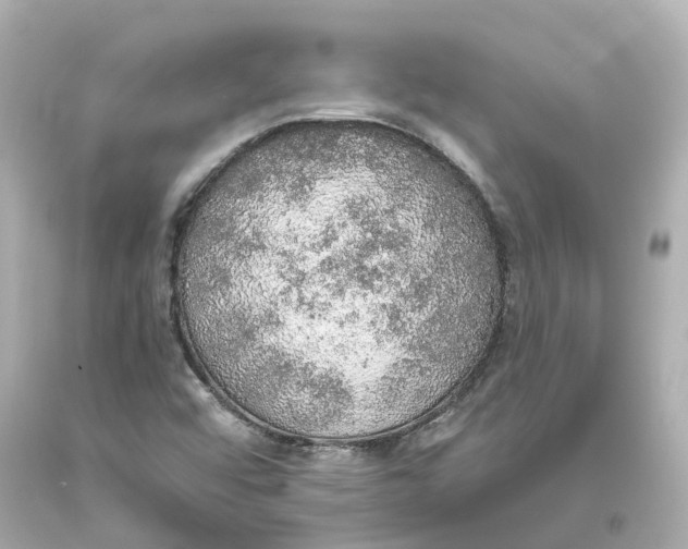 X0000093621456200711051229