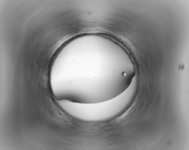 X0000093621457200711051229