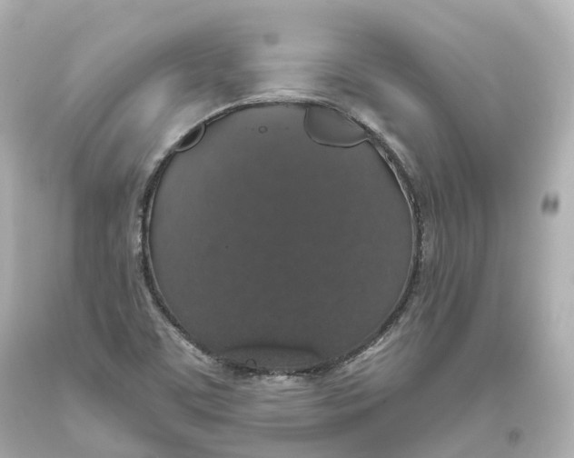 X0000093621459200711051229