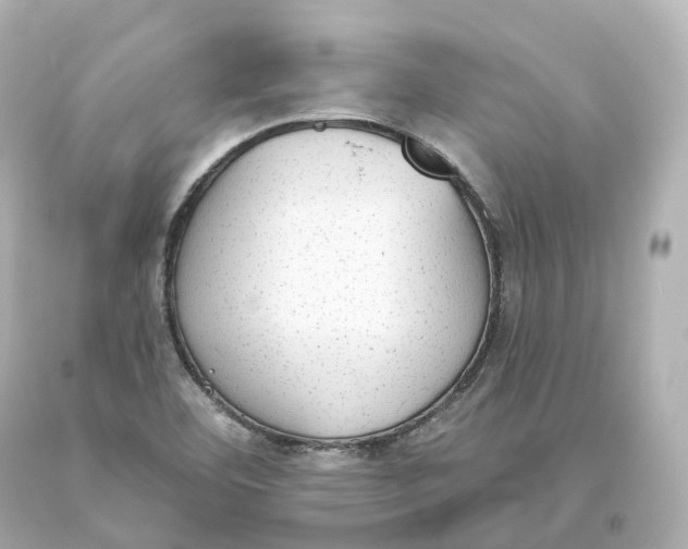 X0000093621460200711051229