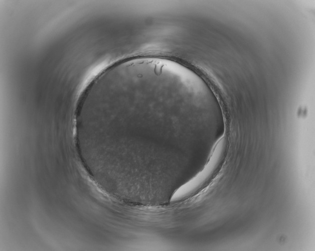 X0000093621461200711051229