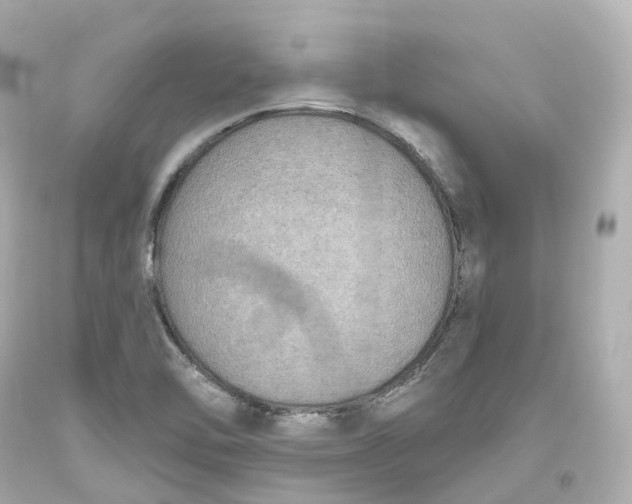 X0000093621462200711051229
