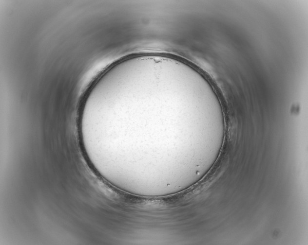 X0000093621464200711051229