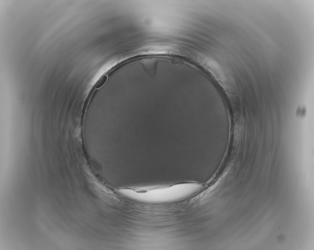 X0000093621465200711051229