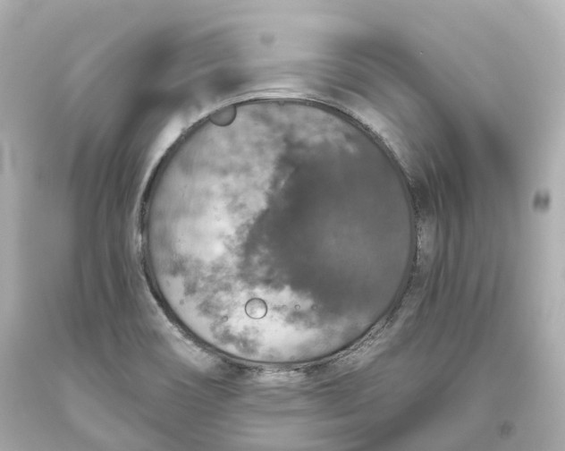 X0000093621466200711051229