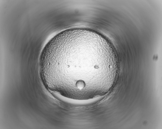 X0000093621467200711051229