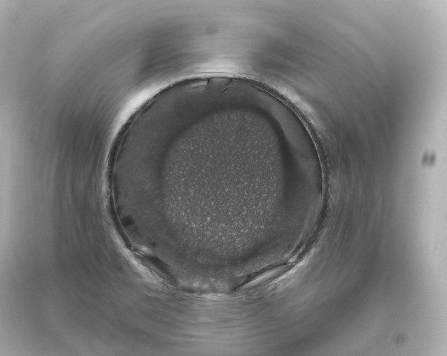 X0000093621469200711051229