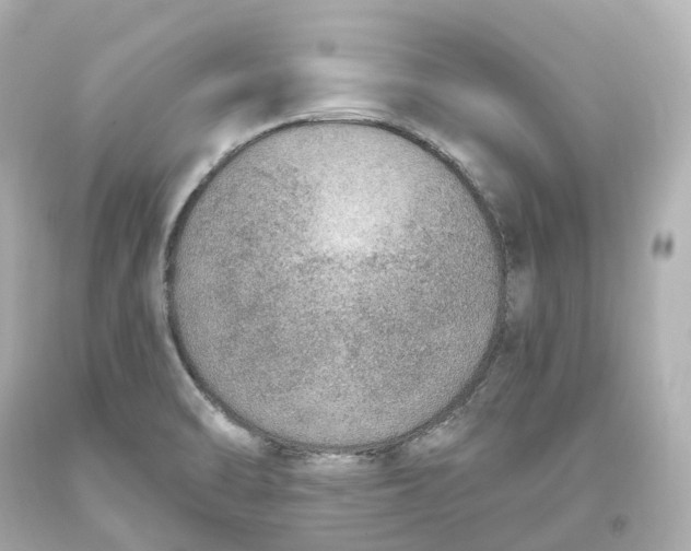 X0000093621470200711051229