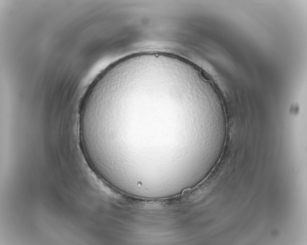 X0000093621472200711051229
