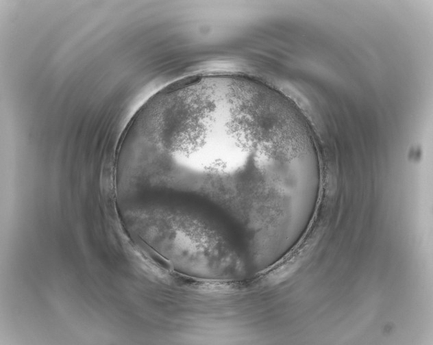 X0000093621473200711051229