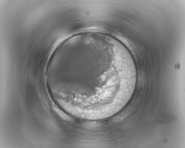 X0000093621474200711051229
