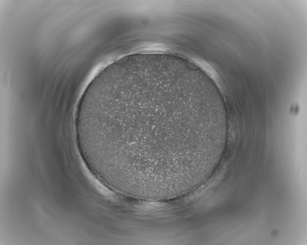 X0000093621475200711051229