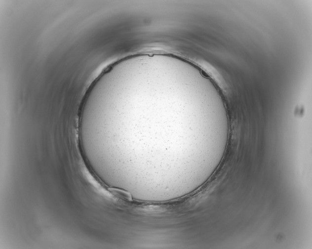 X0000093621476200711051229