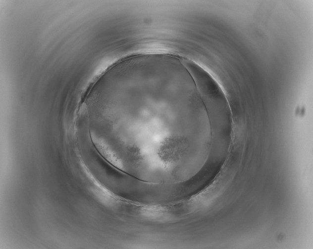 X0000093621477200711051229
