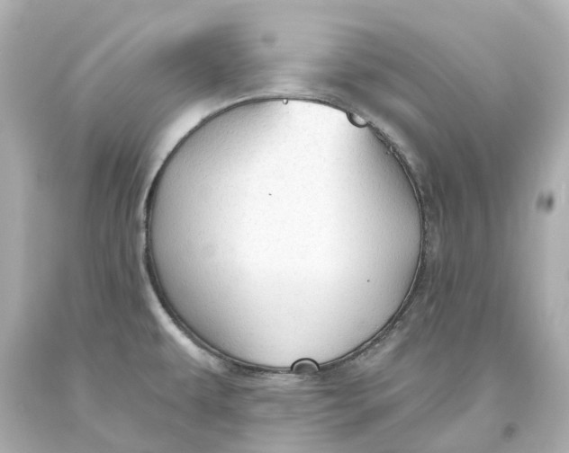 X0000093621479200711051229