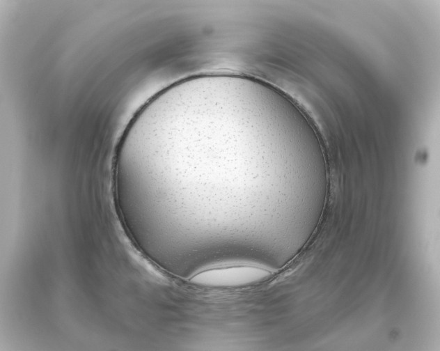 X0000093621480200711051229