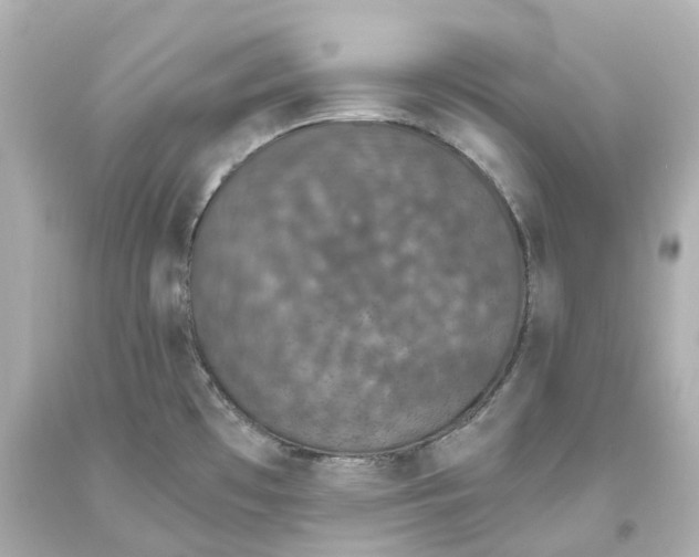 X0000093621481200711051229