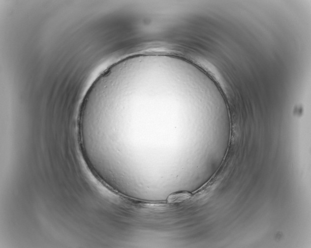 X0000093621483200711051229