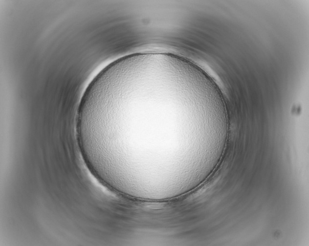 X0000093621484200711051229