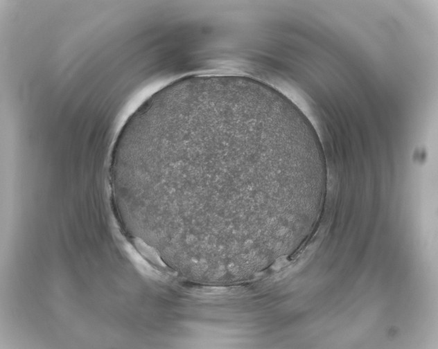X0000093621485200711051229