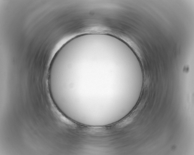 X0000093621486200711051229