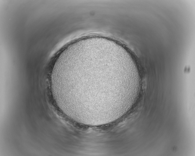 X0000093621496200711051229